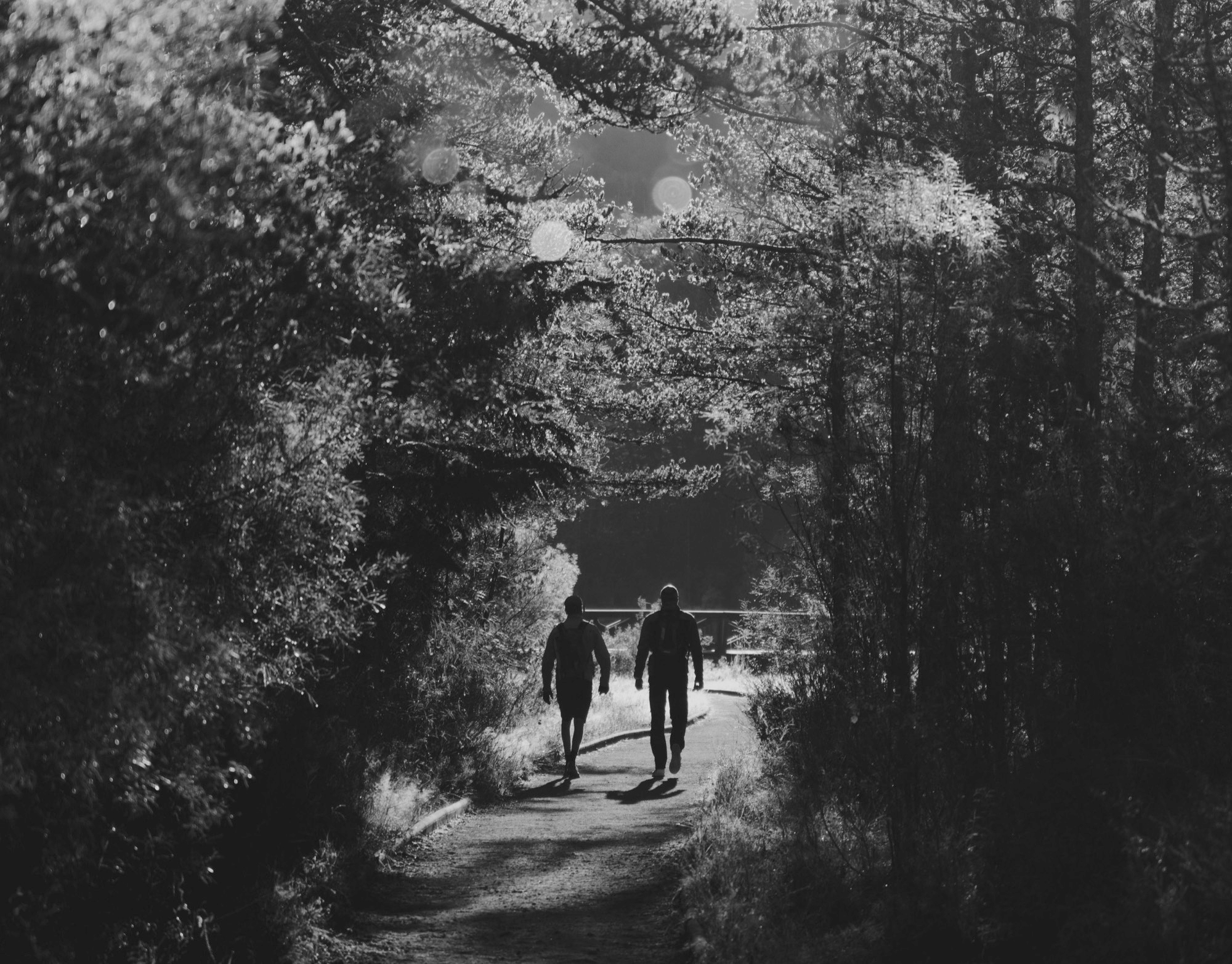 Two people walking a bush track
