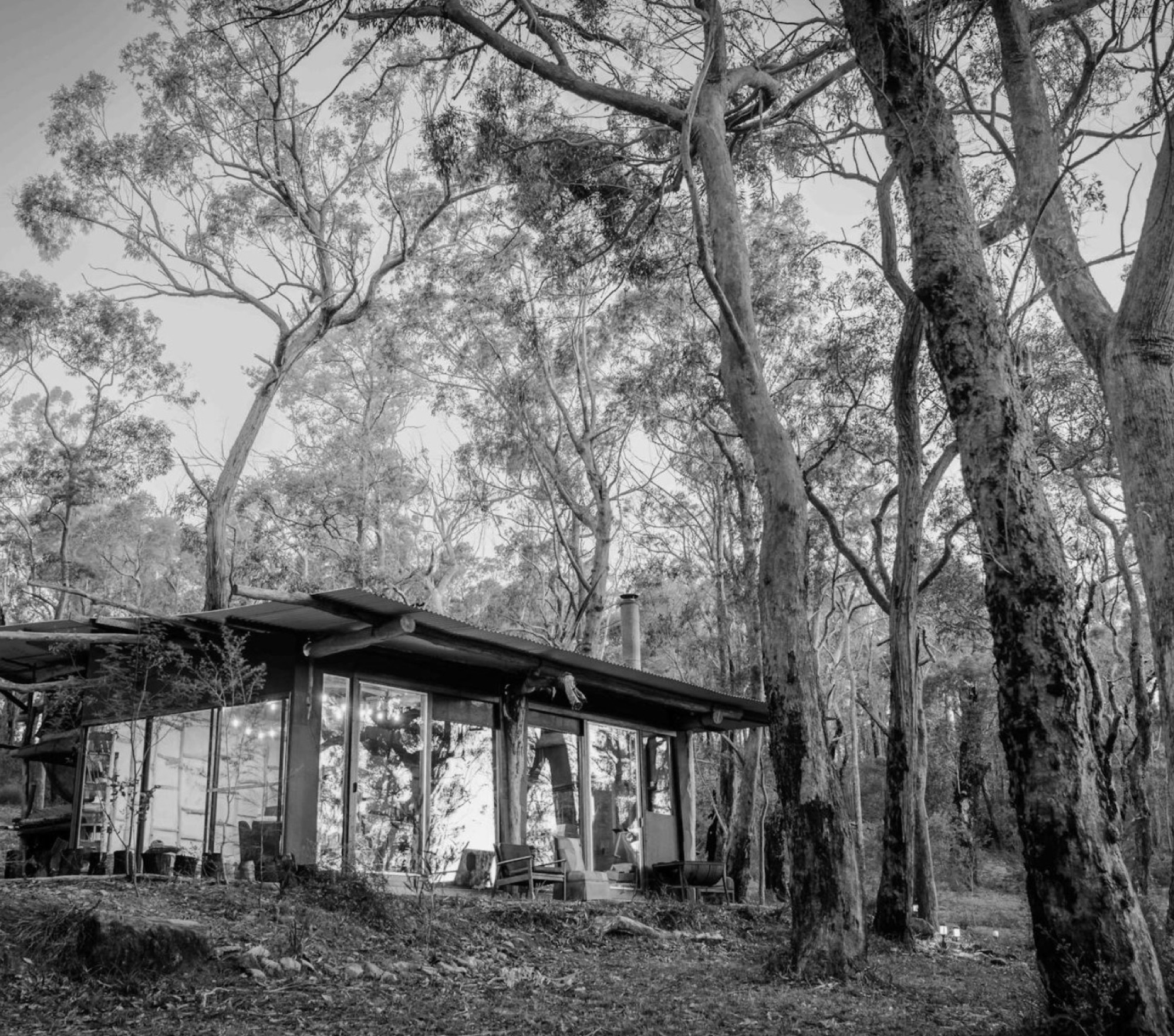 A cabin with a wood fire lit, among tall gum trees at dusk
